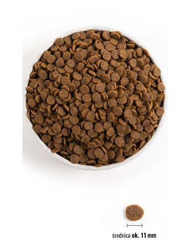 ACANA Puppy & Junior Dog 2 kg