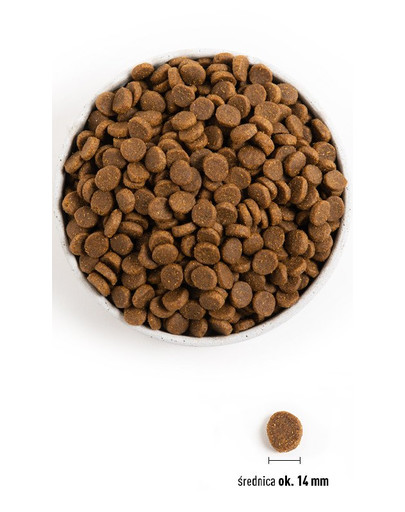 ACANA Senior Dog 11.4 kg