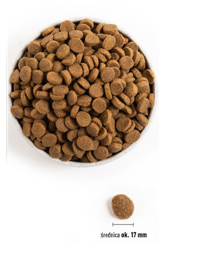 ACANA Adult large breed 17 kg