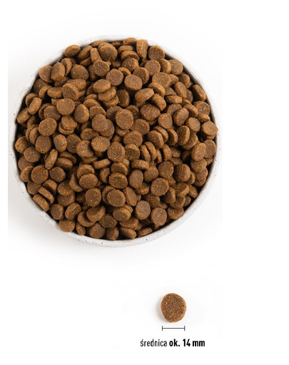 ACANA Sport & Agility 17 kg