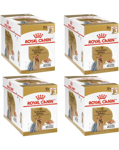 ROYAL CANIN Breed Mini Yorkshire 48 x 85 g