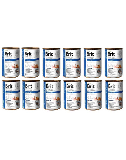 BRIT Veterinary Diet Recovery Salmon Erholungsfutter für Hunde und Katzen 12x400g