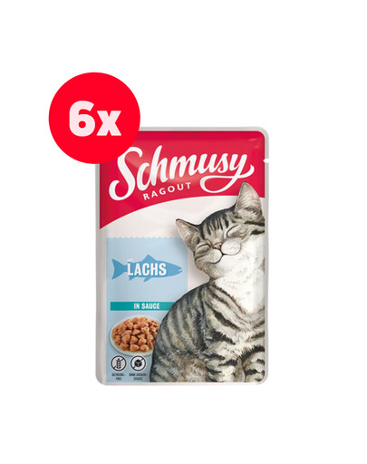 SCHMUSY RAGOUT mit Lachs in Sauce 6 x 100 g