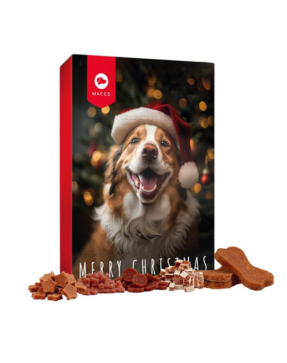 MACED Adventskalender für Hunde