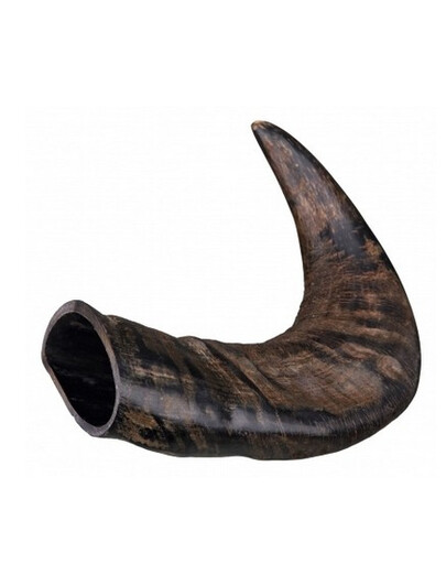 TRIXIE Büffel-Kauhorn groß