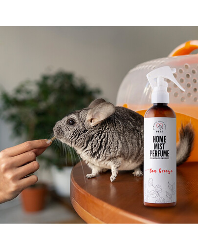 PETS Home Mist Perfume Sea Breeze 250 ml Geruchsneutralisierender Nebel für Innenräume