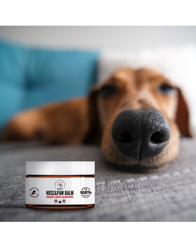PETS Nose & Paw Balm Nasen- und Pfotenbalsam 75 ml
