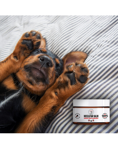 PETS Nose & Paw Balm Nasen- und Pfotenbalsam 75 ml