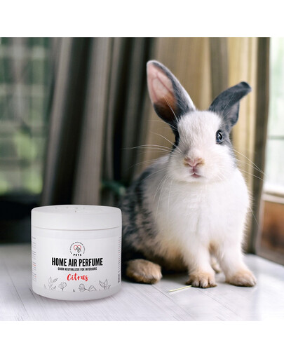 PETS Home Mist Perfume Citrus 170 ml Raumspray Geruchsneutralisator Citrus