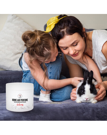 PETS Home Mist Perfume Citrus 170 ml Raumspray Geruchsneutralisator Citrus