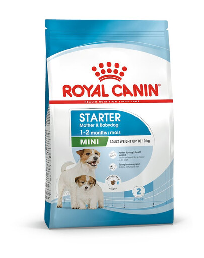 ROYAL CANIN Mini Starter Mother& Babydog 4 kg für trächtige und säugende Hündinnen und Welpen, von 4 bis 8 Wochen, kleine Rassen