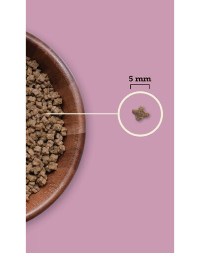 ACANA Highest Protein Kitten 1,8 kg