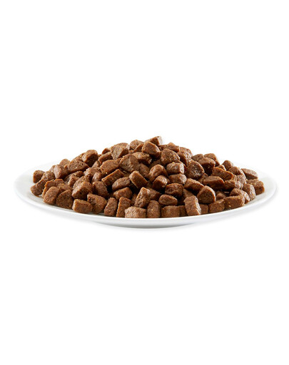 APPLAWS Dog Chicken Puppy small & medium breed 7,5 kg