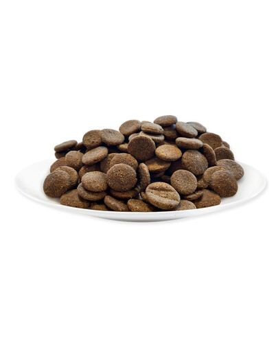 Applaws Dog Senior All Breed Chicken 7,5kg