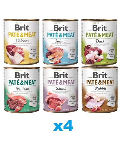 BRIT Pate&Meat Mix Geschmacks 24x800 g Pastete für Hunde