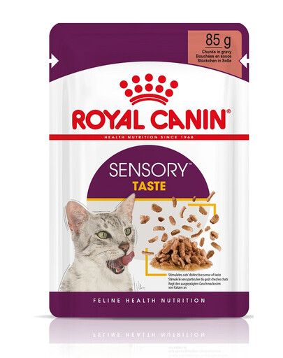 ROYAL CANIN Sensory Taste in Soße 48x85 g