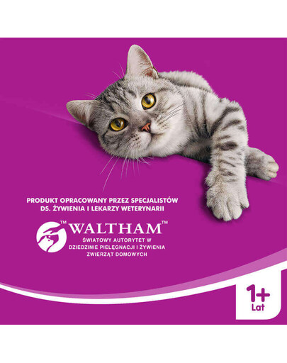 WHISKAS Rindfleisch in Sauce 400 g