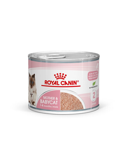 ROYAL CANIN MOTHER & BABYCAT Mousse für tragende Katzen und Kitten 195 g