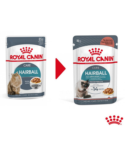 ROYAL CANIN Hairball Care 24x85g