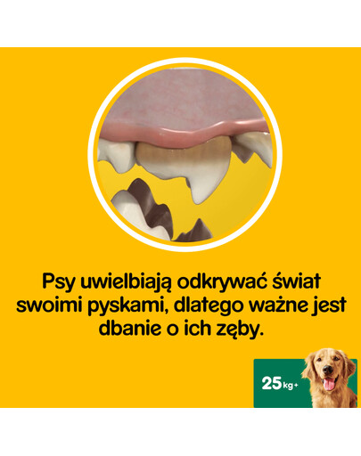 PEDIGREE DentaStix (große Rassen) Zahnpflegeprodukte für Hunde 7 Stk. - 270g