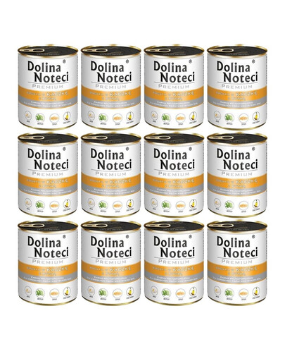 DOLINA NOTECI Premium reich an Ente mit Kürbis 12x800 g