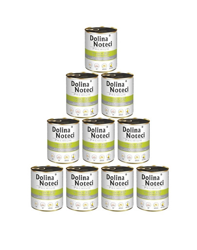 DOLINA NOTECI Premium Gans mit Kartoffeln 10x800g