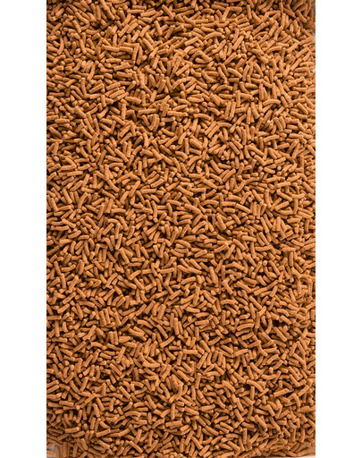 TETRA Pond KOI Sticks 10 L
