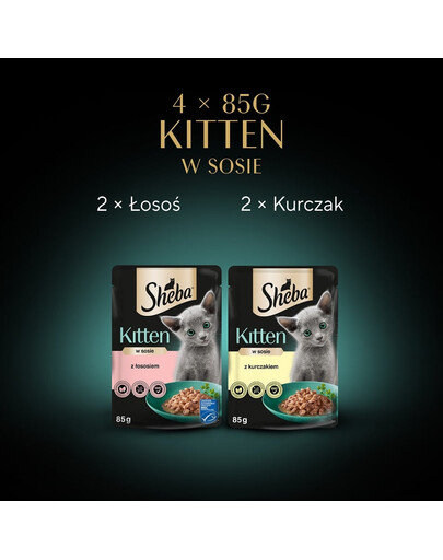 SHEBA Kitten 4x85g Nassfutter mit Lachs und Huhn für Kätzchen