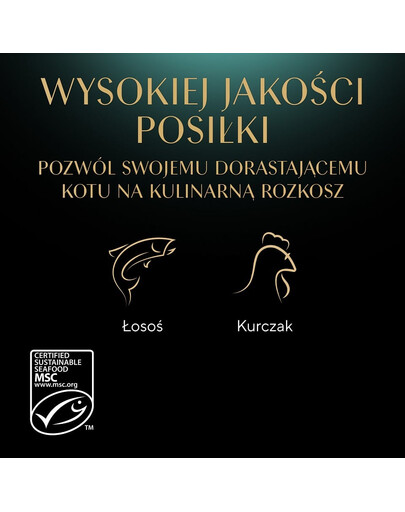 SHEBA Kitten 4x85g Nassfutter mit Lachs und Huhn für Kätzchen