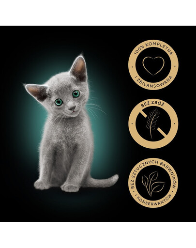 SHEBA Kitten 4x85g Nassfutter mit Lachs und Huhn für Kätzchen