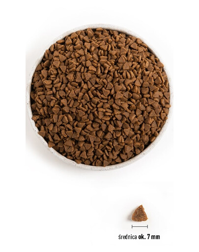 ACANA First Feast Cat 1,8 kg