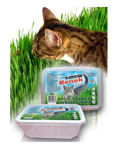 BENEK Trichter für schnell wachsendes Gras