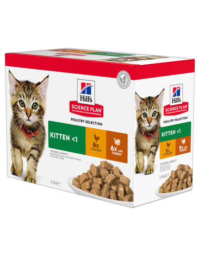 HILL'S Science Plan Feline Kitten Multipack Chicken & Turkey 85 g x12 Szt.