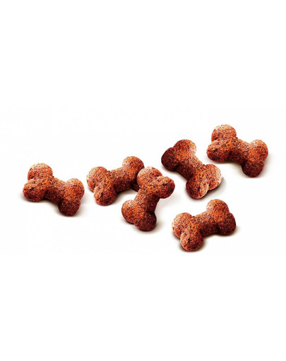 CARNILOVE Crunchy snacks Knuspersnacks mit Strauß und Brombeeren 200 g