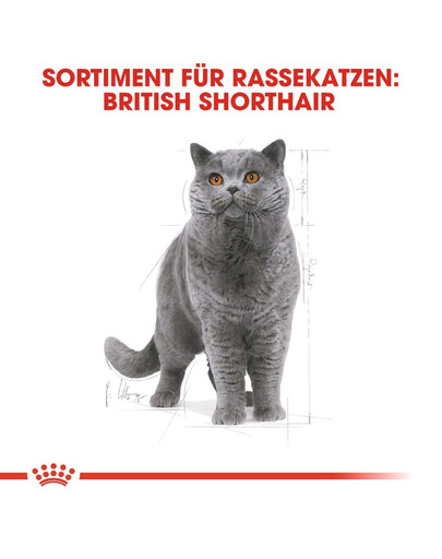 ROYAL CANIN British Shorthair Katzenfutter trocken für Britisch Kurzhaar 4 kg