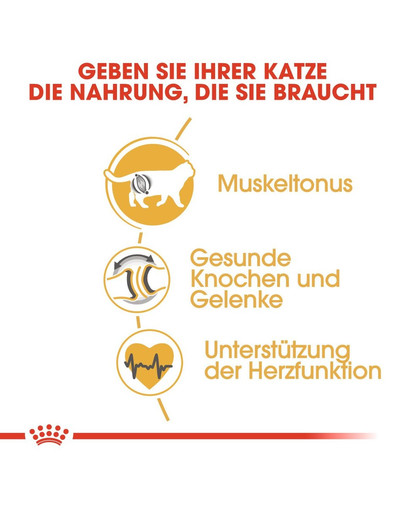ROYAL CANIN British Shorthair Katzenfutter trocken für Britisch Kurzhaar 2 kg