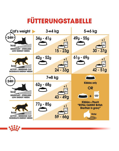 ROYAL CANIN British Shorthair Katzenfutter trocken für Britisch Kurzhaar 4 kg