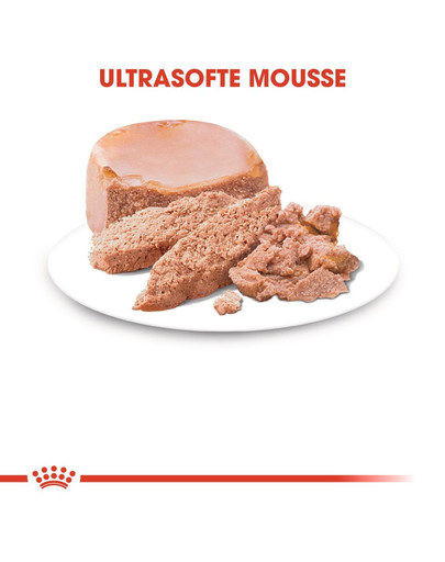 ROYAL CANIN MOTHER & BABYCAT Mousse für tragende Katzen und Kitten 195 g