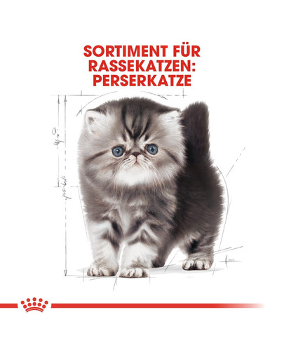 ROYAL CANIN Persian Kittenfutter trocken für Perser-Kätzchen 2 kg