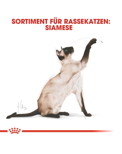 ROYAL CANIN Siamese Adult Katzenfutter trocken 2 kg