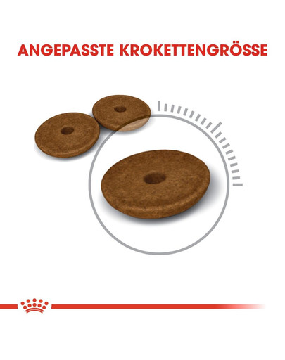 ROYAL CANIN Digestive Care Trockenfutter für Katzen mit empfindlicher Verdauung 400 g