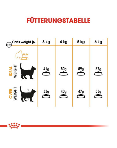 ROYAL CANIN Hair & Skin Care Katzenfutter trocken für gesundes Fell 400 g