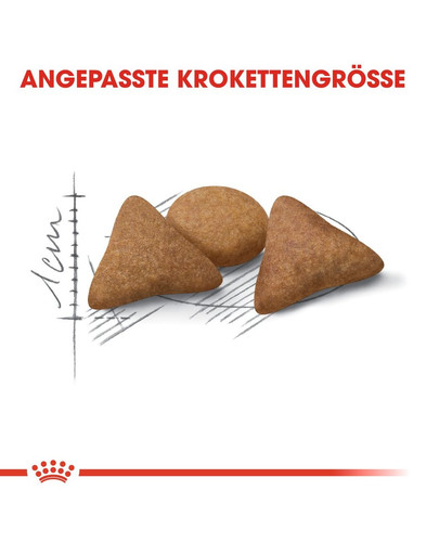 ROYAL CANIN INDOOR Appetite Control Trockenfutter für übergewichtige Wohnungskatzen 400 g