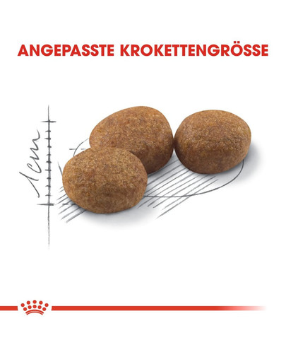 ROYAL CANIN STERILISED Trockenfutter für kastrierte Katzen 10 kg