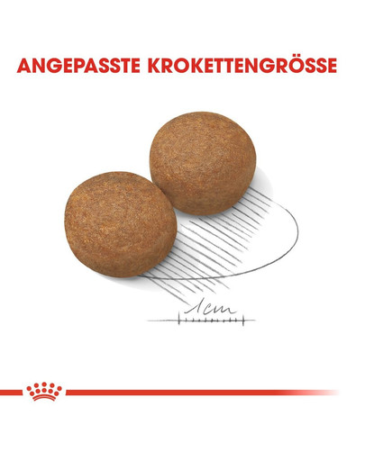 ROYAL CANIN MAXI Adult Trockenfutter für große Hunde 15 kg