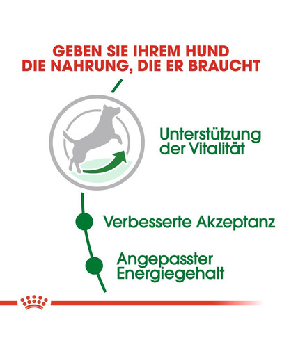 ROYAL CANIN MINI Adult 8+ Trockenfutter für ältere kleine Hunde 800 g