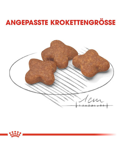 ROYAL CANIN MINI Adult 8+ Trockenfutter für ältere kleine Hunde 800 g