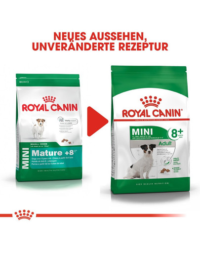 ROYAL CANIN MINI Adult 8+ Trockenfutter für ältere Hunde 2kg