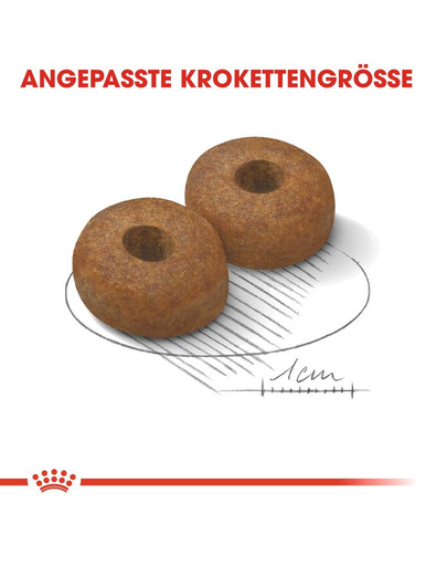 ROYAL CANIN MAXI Ageing 8+ Trockenfutter für ausgewachsene Hunde, große Rassen 15 kg