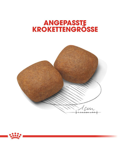 ROYAL CANIN GIANT Junior Welpenfutter trocken für sehr große Hunde 15 kg